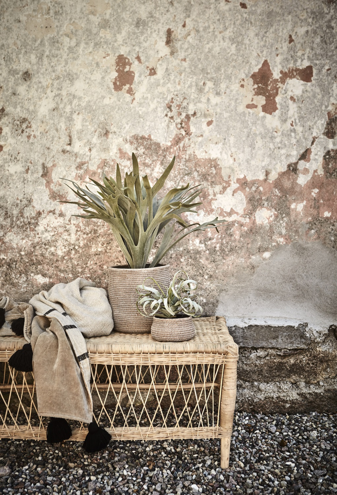 Kávézóasztal 'Törzs' - Természetes