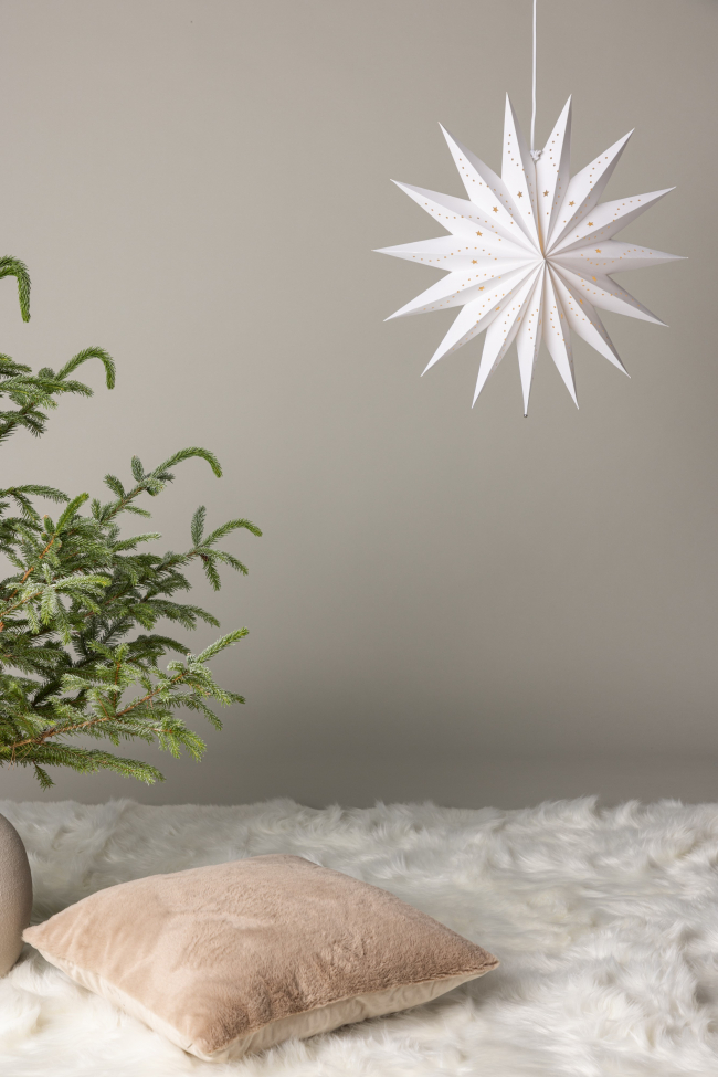 Karácsonyi csillag 'Sala' - Fehér