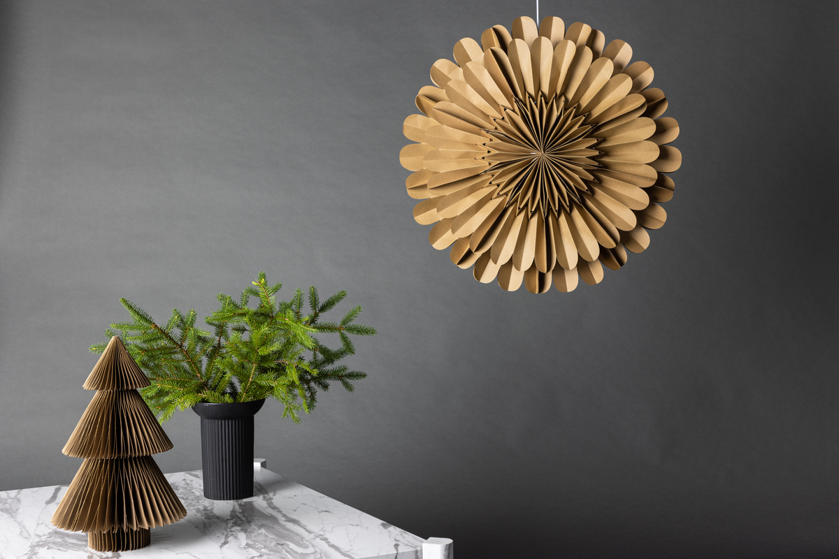 Adventi csillag 'Mora' - Barna