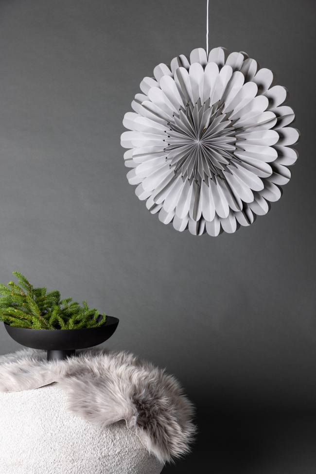 Karácsonyi csillag 'Glänt' - Szürke