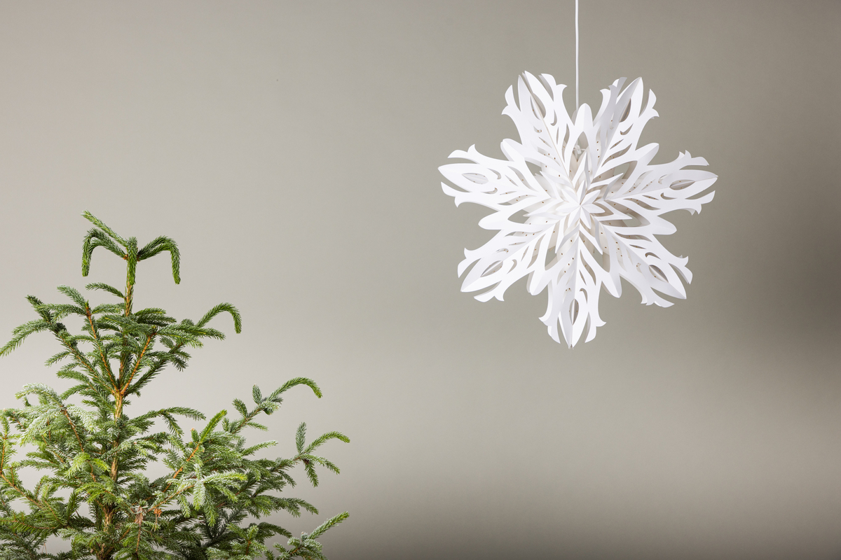 Adventi csillag 'Kungälv' - Fehér