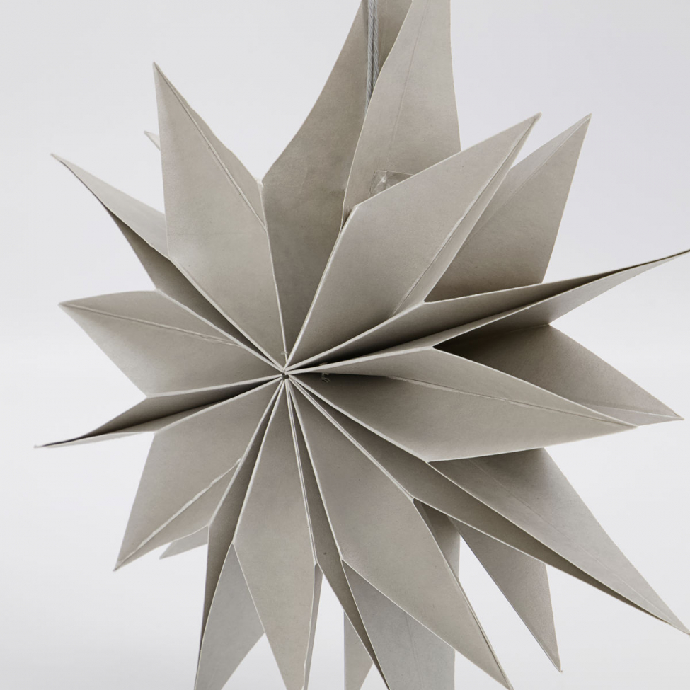 Julstjärna 'Capella' - Gyöngy S