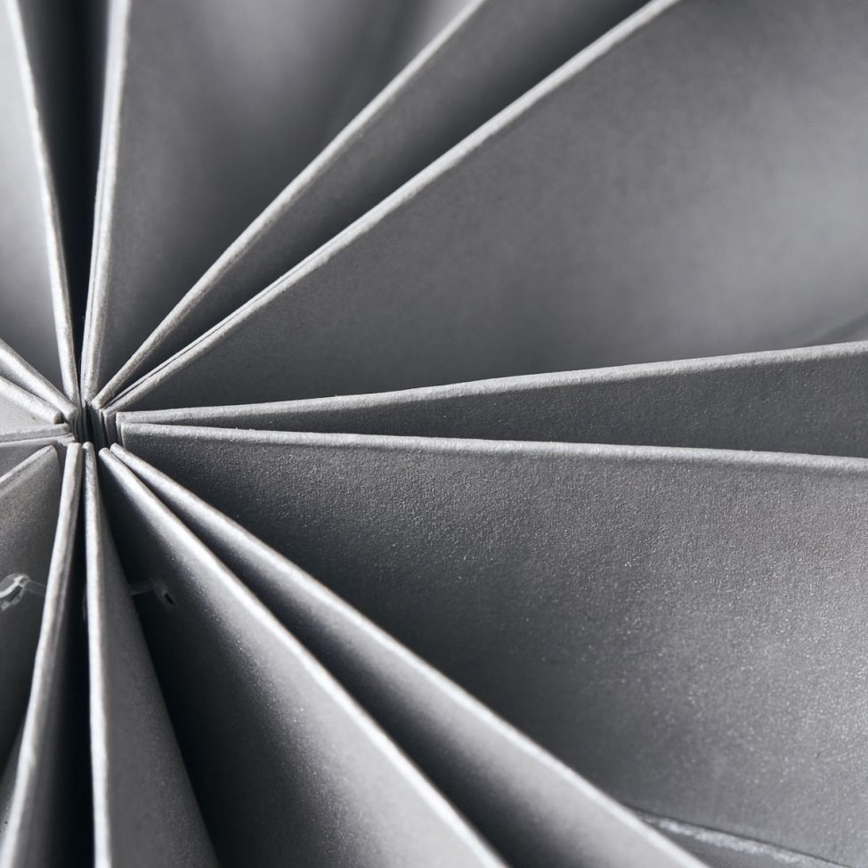 Julstjärna 'Capella' - Gyöngy S