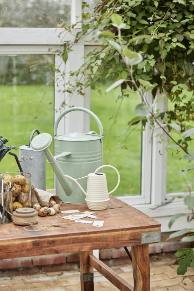 Piaciszék 'Unique' - Természetes