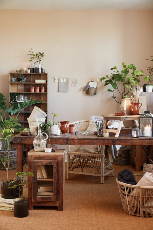 Piaciszék 'Unique' - Természetes