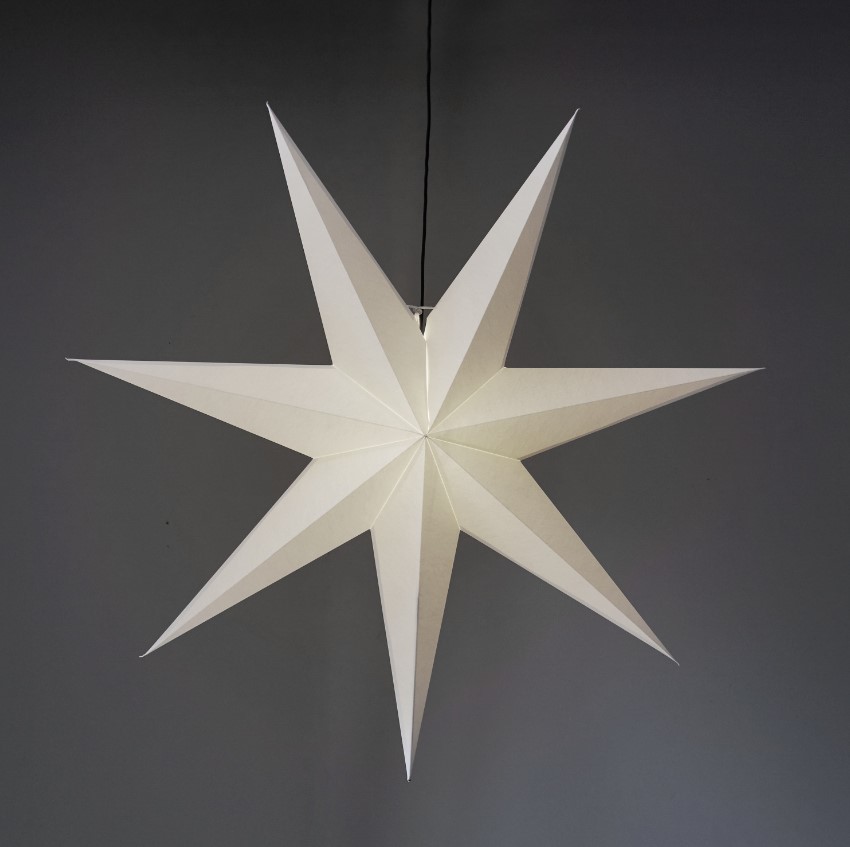 Karácsonyi csillag 'Frozen' - Fehér