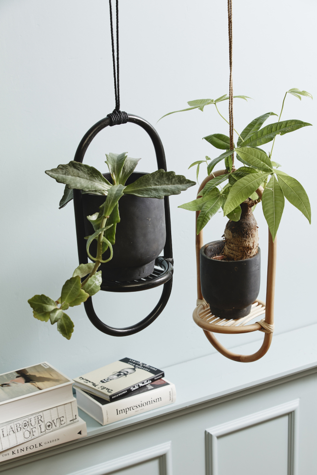 Ampel 'ELBA' - Természet