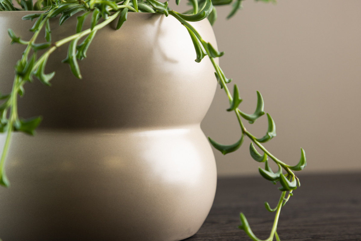 Cserép 'Bourges' - Bézs