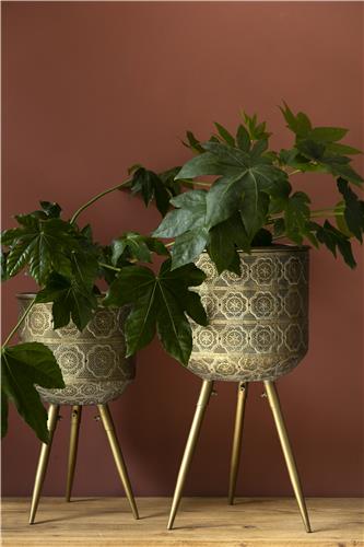 Cserép 'Botanique' L - Réz