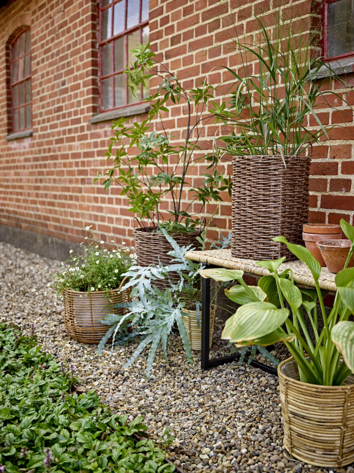 Kerti pad 'Adilly' – Natúr/Rattan